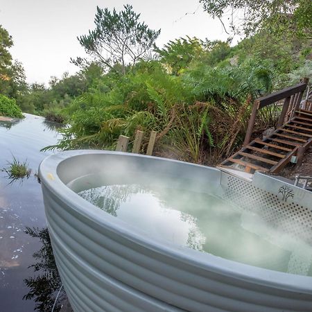 The Fernery Lodge & Spa Stormsrivier Exterior foto