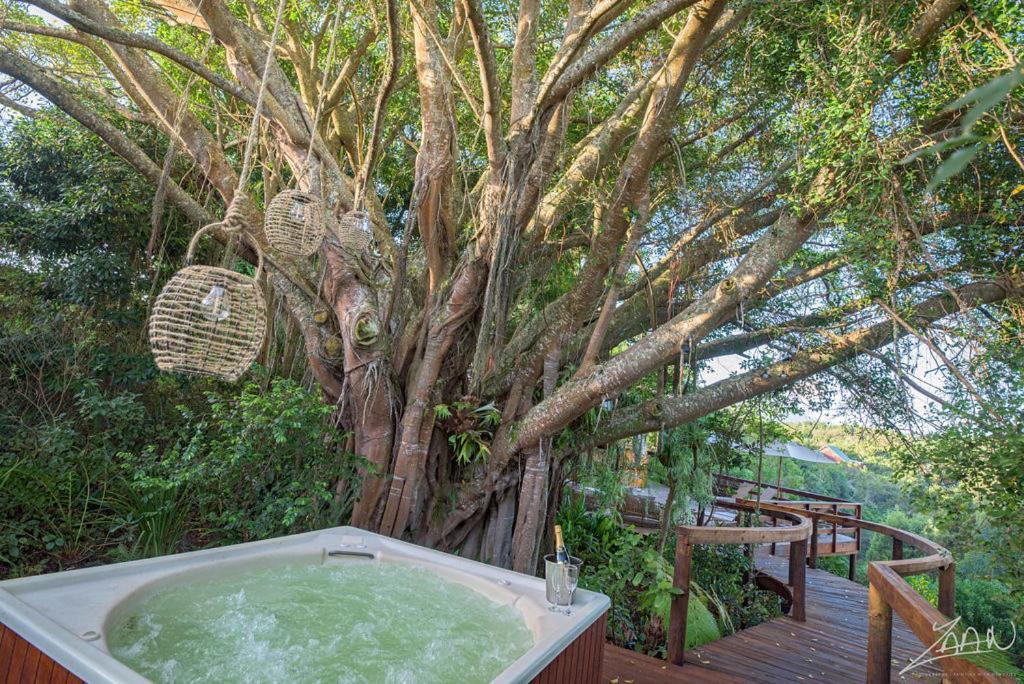 The Fernery Lodge & Spa Stormsrivier Exterior foto